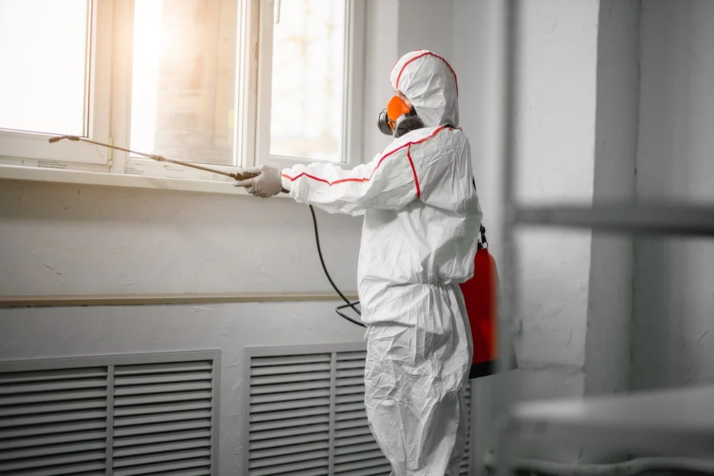 Professional mold remediation services in Brohman, MI